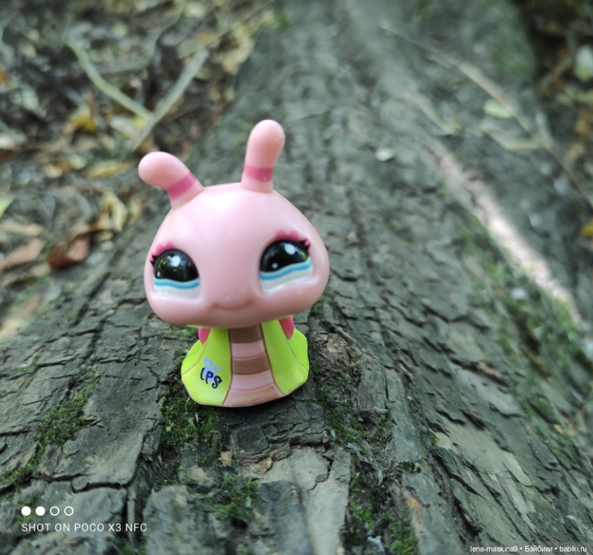 Куколки Келли, парк, природа