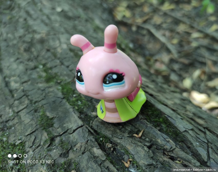 Куколки Келли, парк, природа