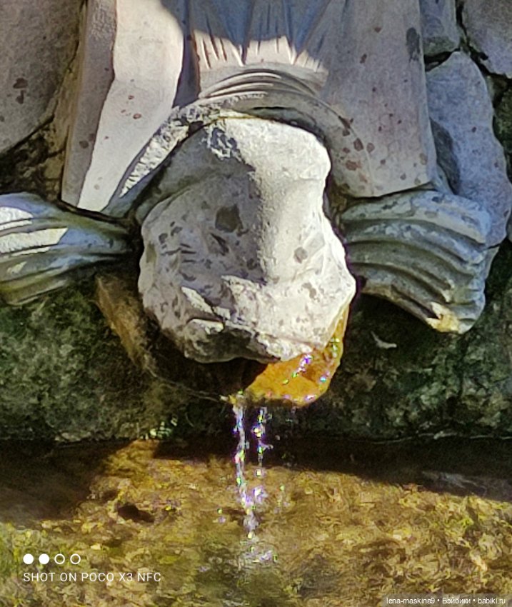 Куколки Келли, парк, природа (фото 6)