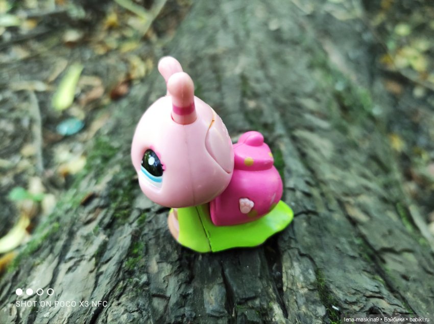 Куколки Келли, парк, природа