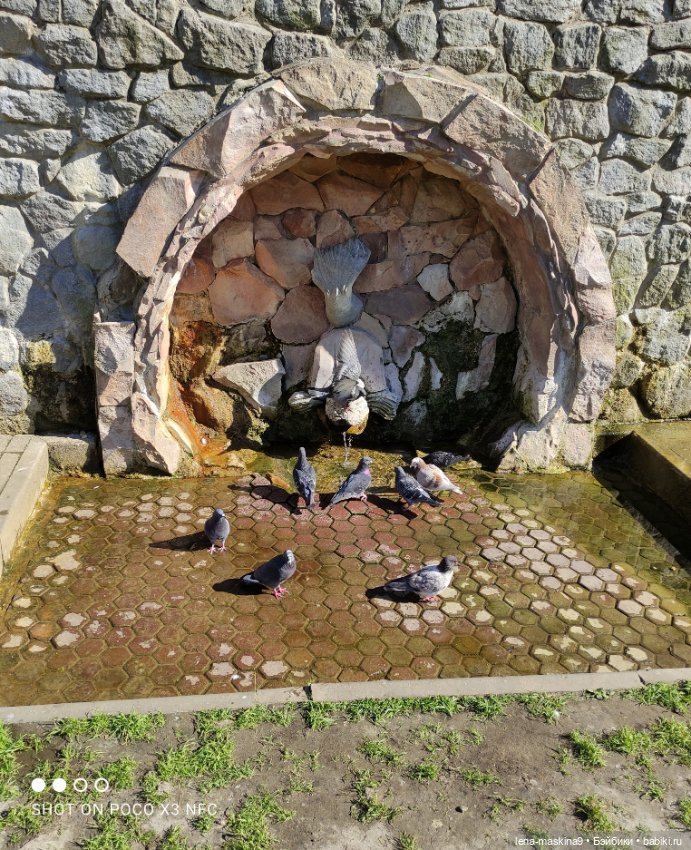 Куколки Келли, парк, природа (фото 9)