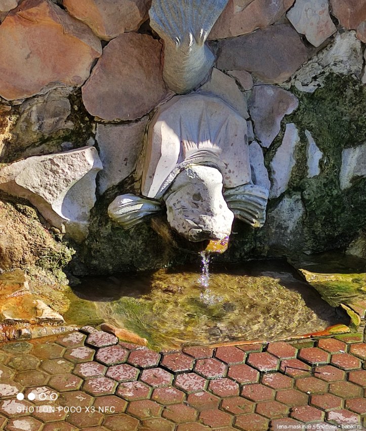 Куколки Келли, парк, природа (фото 8)