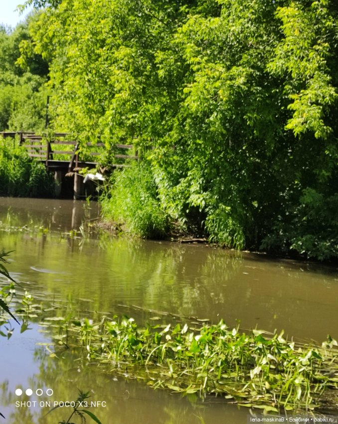 Куколки Келли, парк, природа