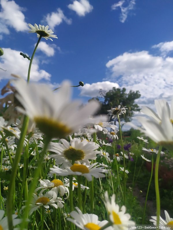 Новое - хорошо забытое старое (фото 9)