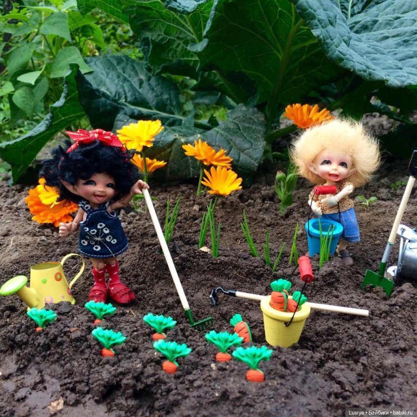 Лето - это маленькая жизнь 🤗 (фото 3)