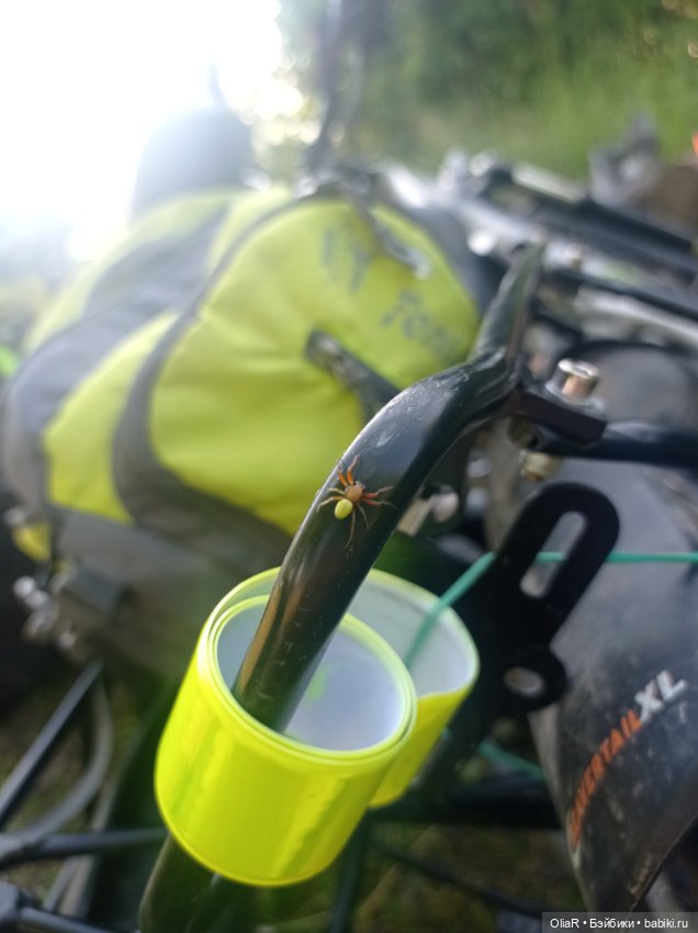 Не ходите эльфийскими тропами