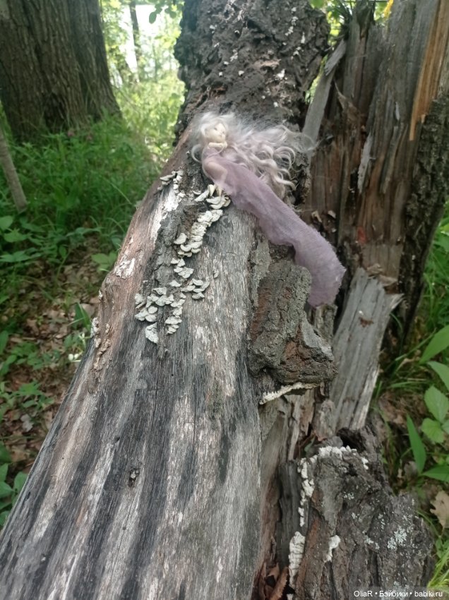 Не ходите эльфийскими тропами