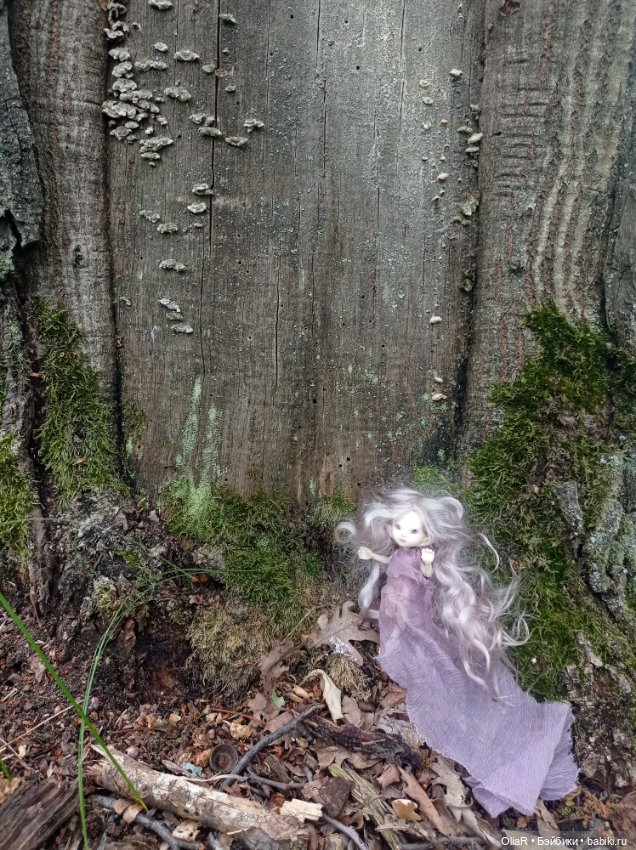 Не ходите эльфийскими тропами (фото 3)