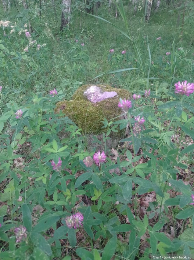 Не ходите эльфийскими тропами (фото 7)