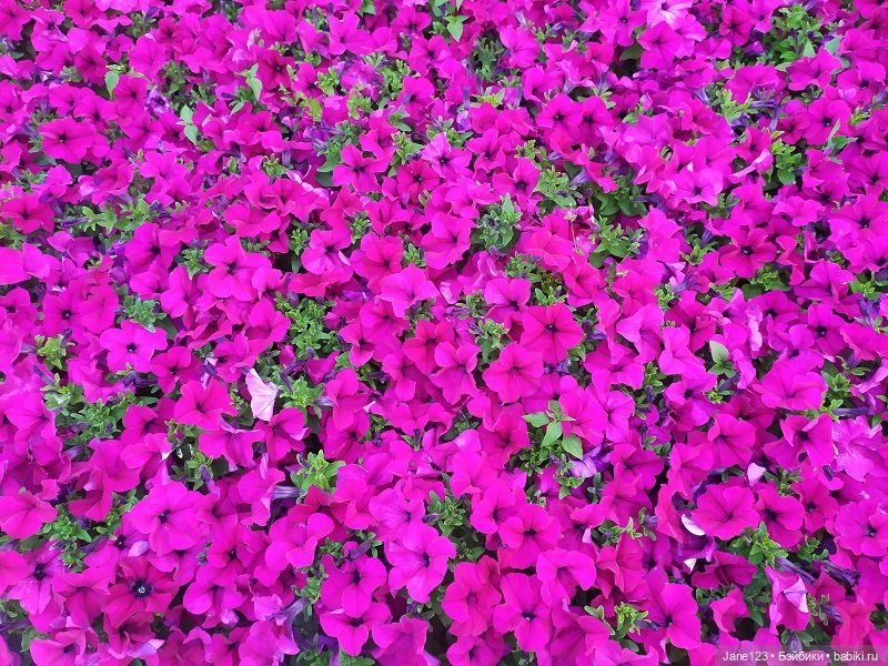 Крошка в ладошке — Куклы Corolle (Королле): французские