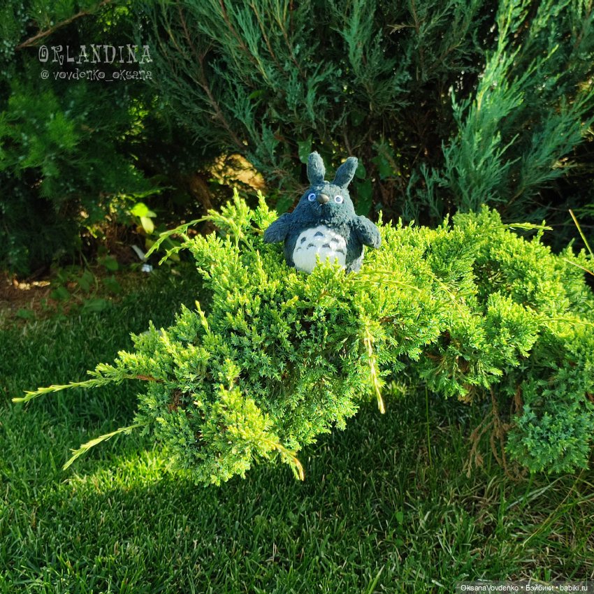 Где? где Тоторо? Да вот же, смотри (фото 3)