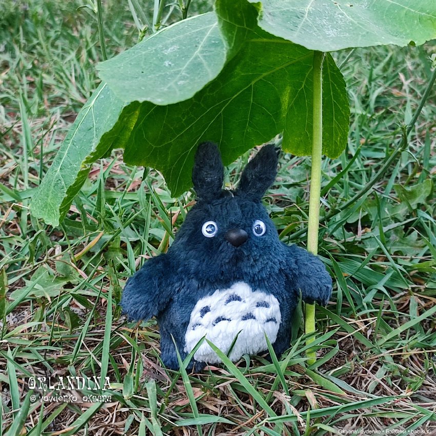 Где? где Тоторо? Да вот же, смотри