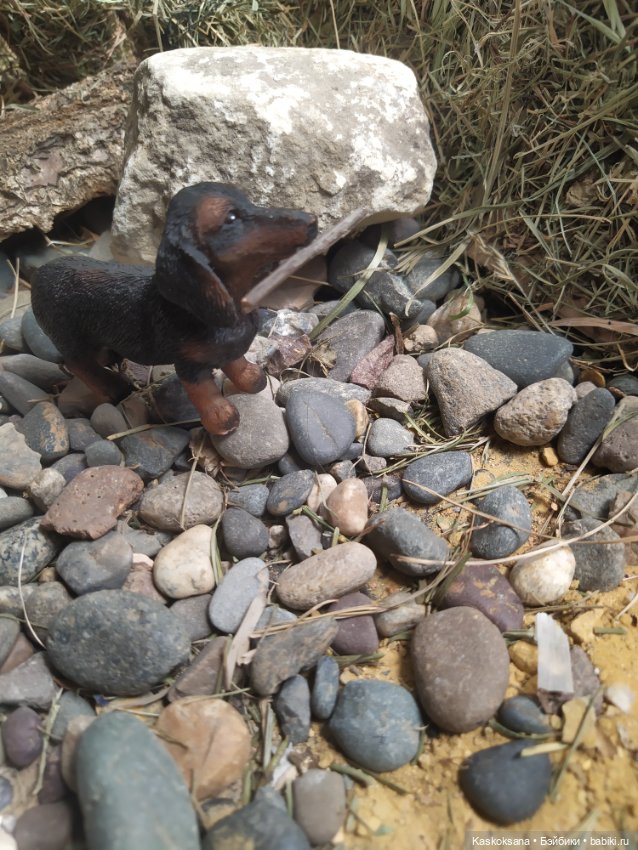 Город N на подоконнике — Разное