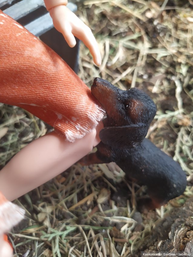 Город N на подоконнике — Разное