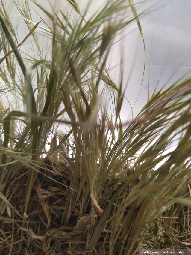 Город N на подоконнике — Разное