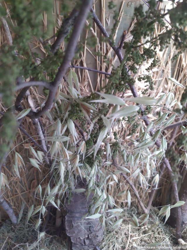 Город N на подоконнике — Разное