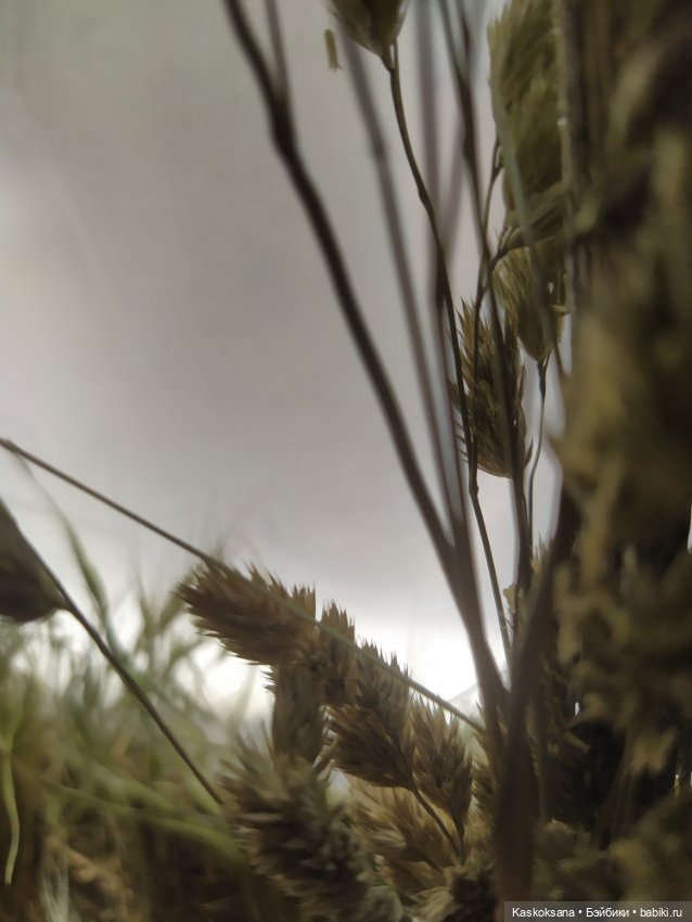 Город N на подоконнике — Разное