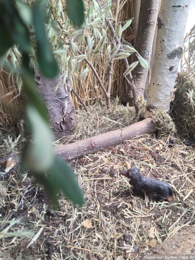 Город N на подоконнике — Разное (фото 7)