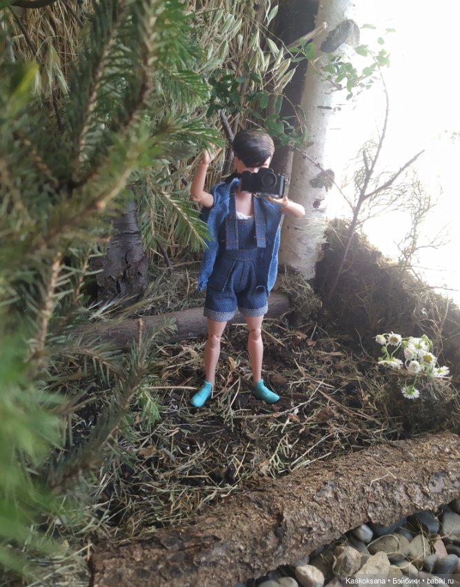 Город N на подоконнике — Разное