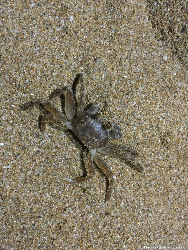 Матвей Сергеевич и ПинкЛау в лучах турецкого заката 🌞