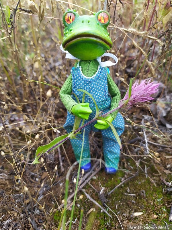 Лягушка и её подружка — Игровые куклы разных производителей (Разное): редкие бренды (фото 10)