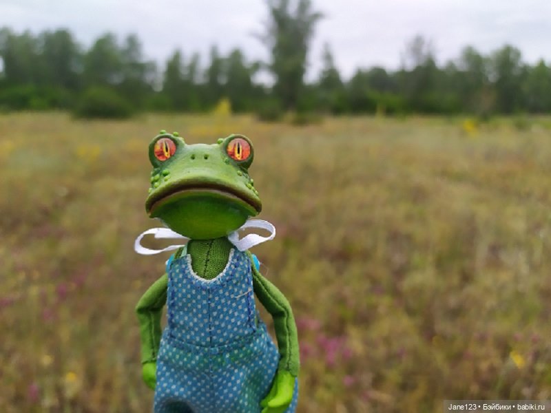 Лягушка и её подружка — Игровые куклы разных производителей (Разное): редкие бренды (фото 8)