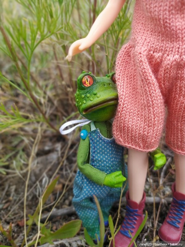 Лягушка и её подружка — Игровые куклы разных производителей (Разное): редкие бренды (фото 6)