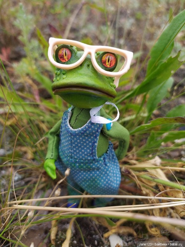 Лягушка и её подружка — Игровые куклы разных производителей (Разное): редкие бренды