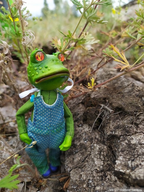 Лягушка и её подружка — Игровые куклы разных производителей (Разное): редкие бренды