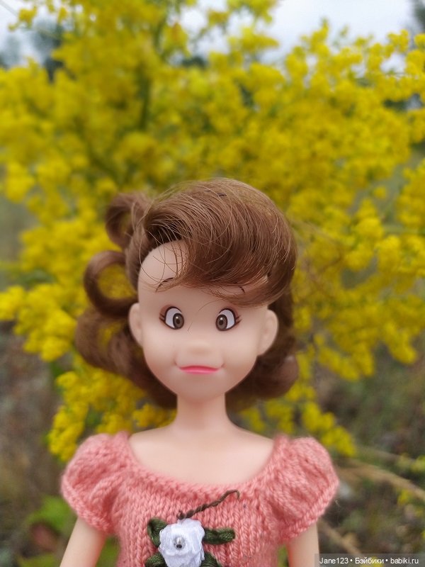 Лягушка и её подружка — Игровые куклы разных производителей (Разное): редкие бренды (фото 9)