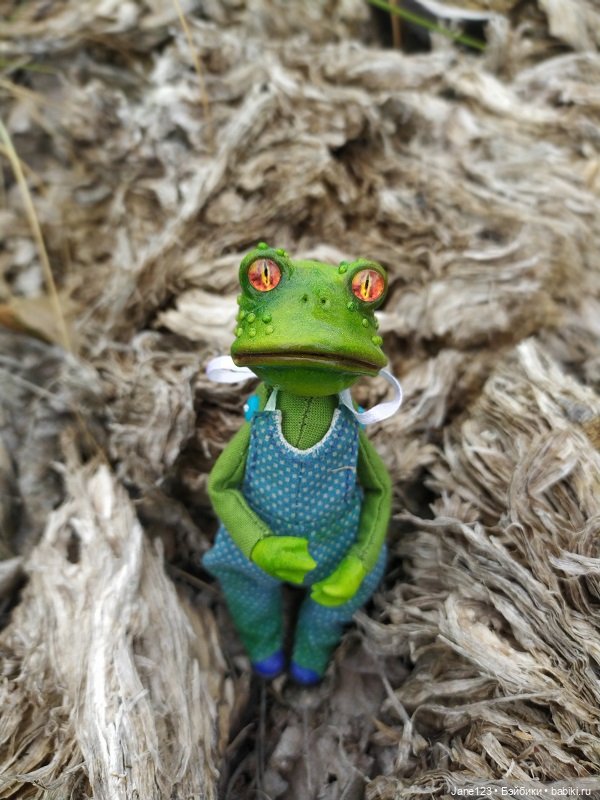 Лягушка и её подружка — Игровые куклы разных производителей (Разное): редкие бренды (фото 4)