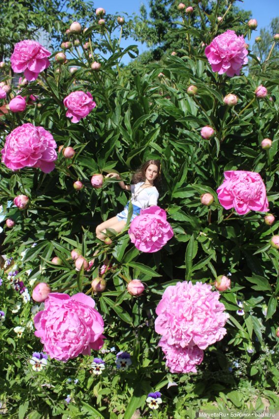 Персональный Наташин альбом (фото 6)