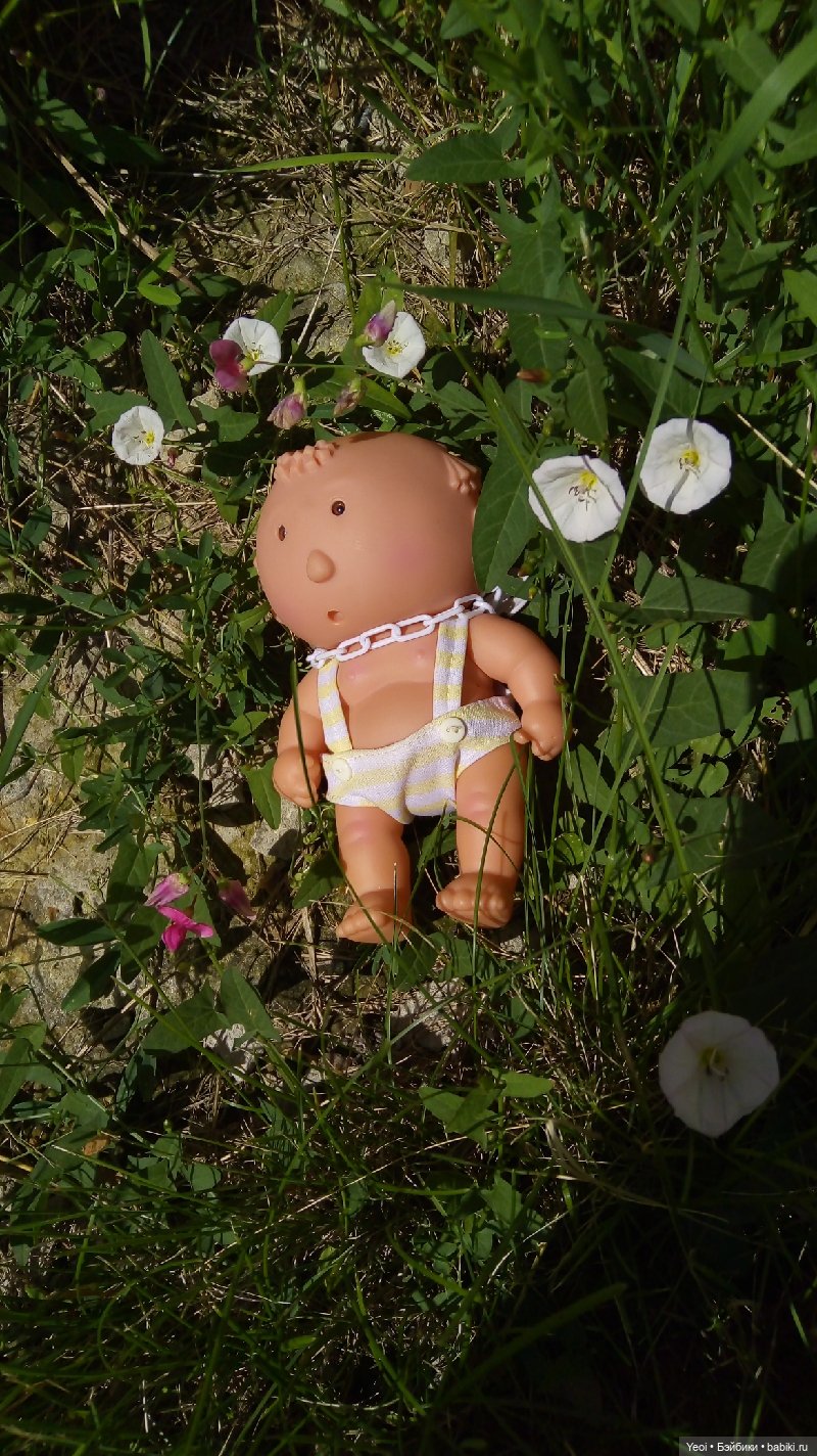 Пара пупсов и полевые цветы