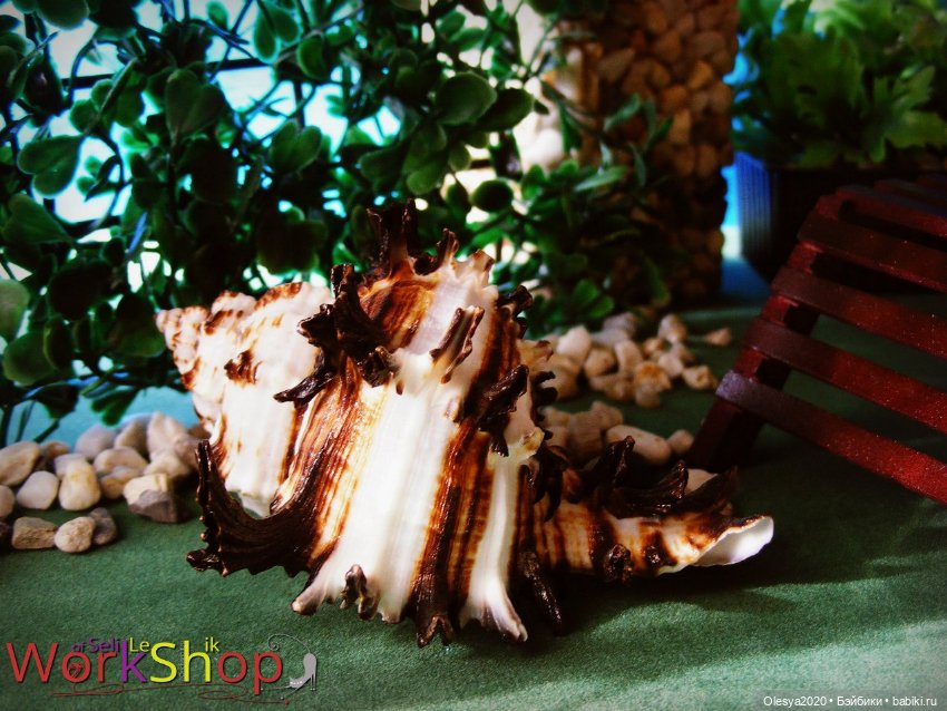 К пляжному сезону готовы — Мебель для кукол и домиков: фото (фото 9)