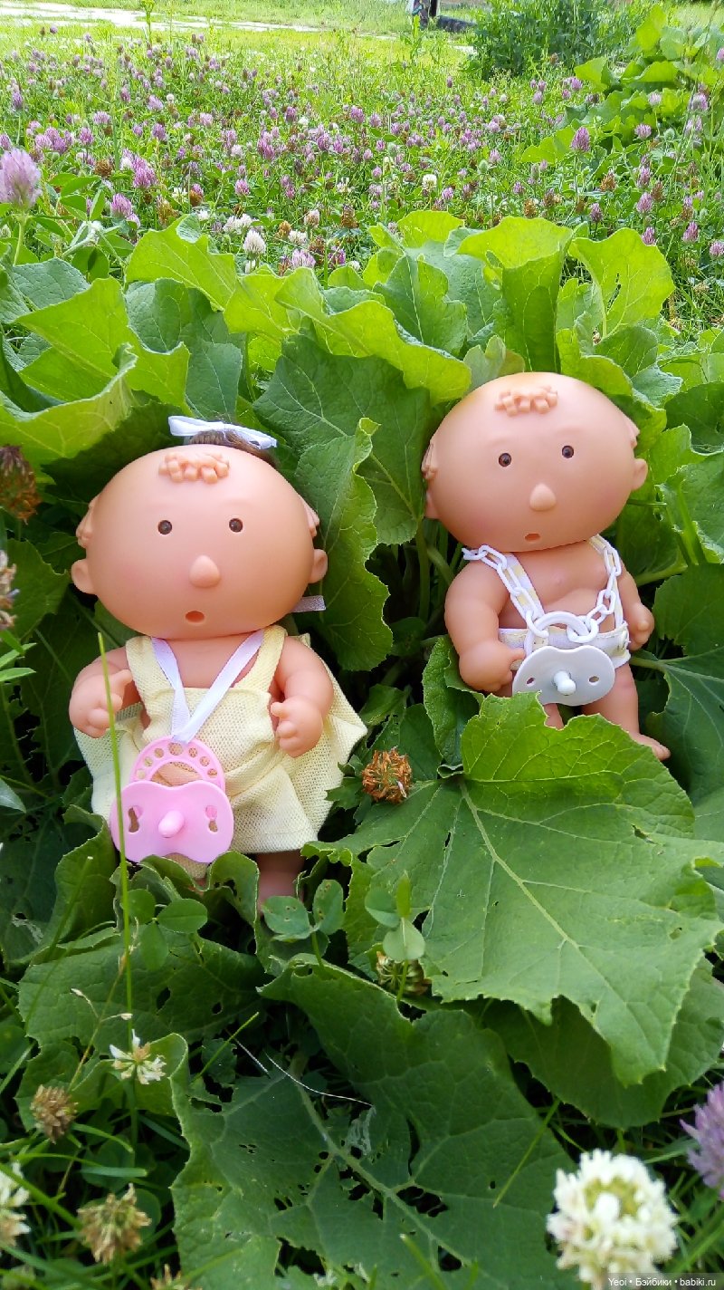 Пара пупсов и полевые цветы (фото 5)