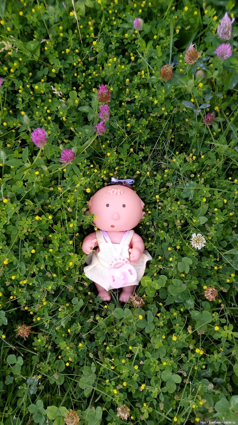 Пара пупсов и полевые цветы