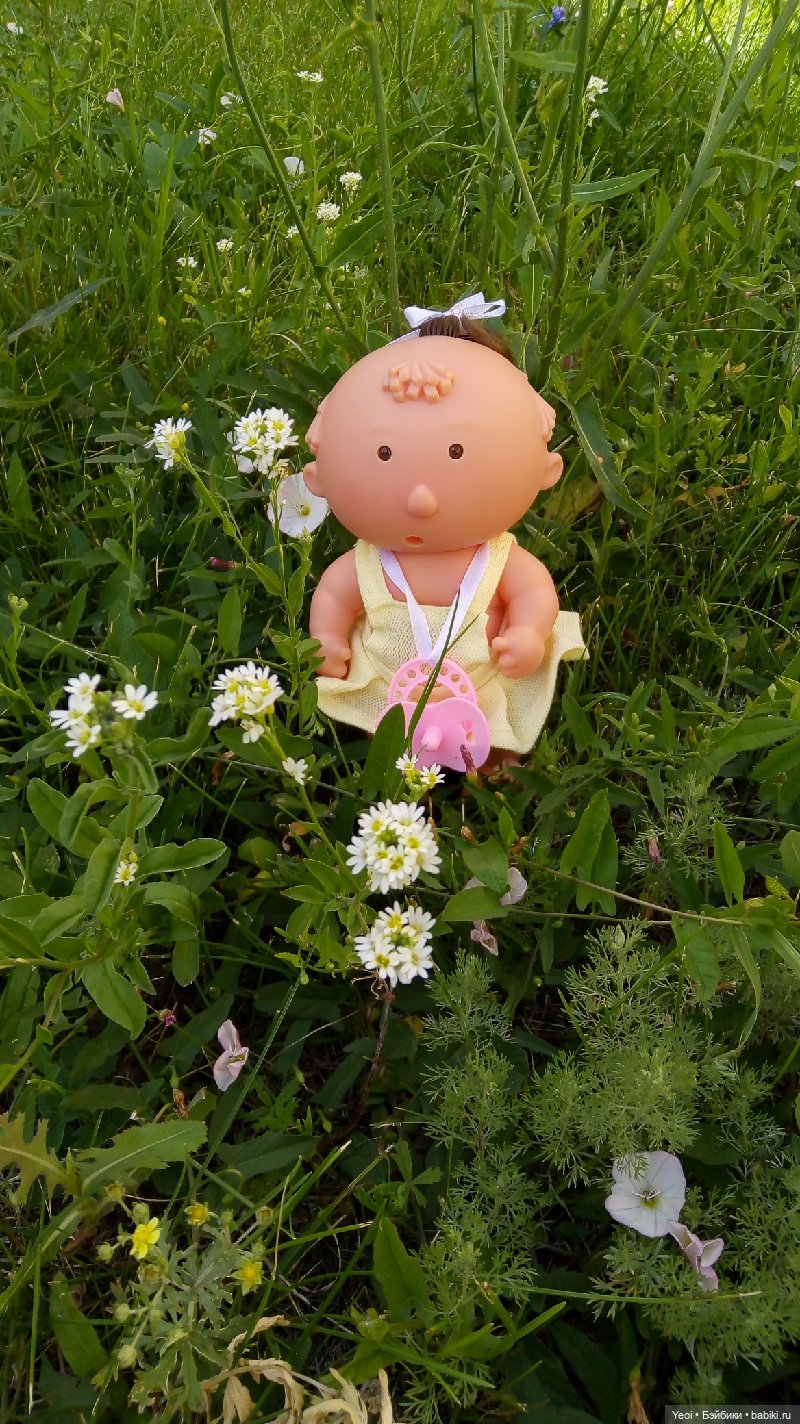 Пара пупсов и полевые цветы