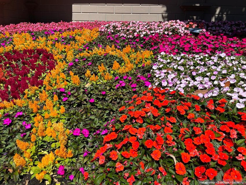 Fashion Dolls 394 — Туризм и путешествия: фотоотчеты из поездок