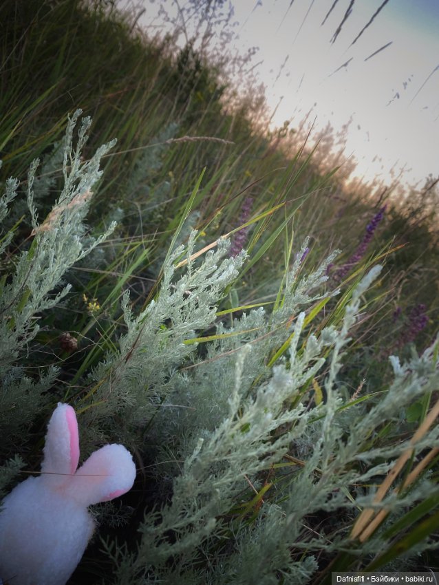 УтКака не водоплавающая — Интересные игрушки и фигурки (разное): редкие