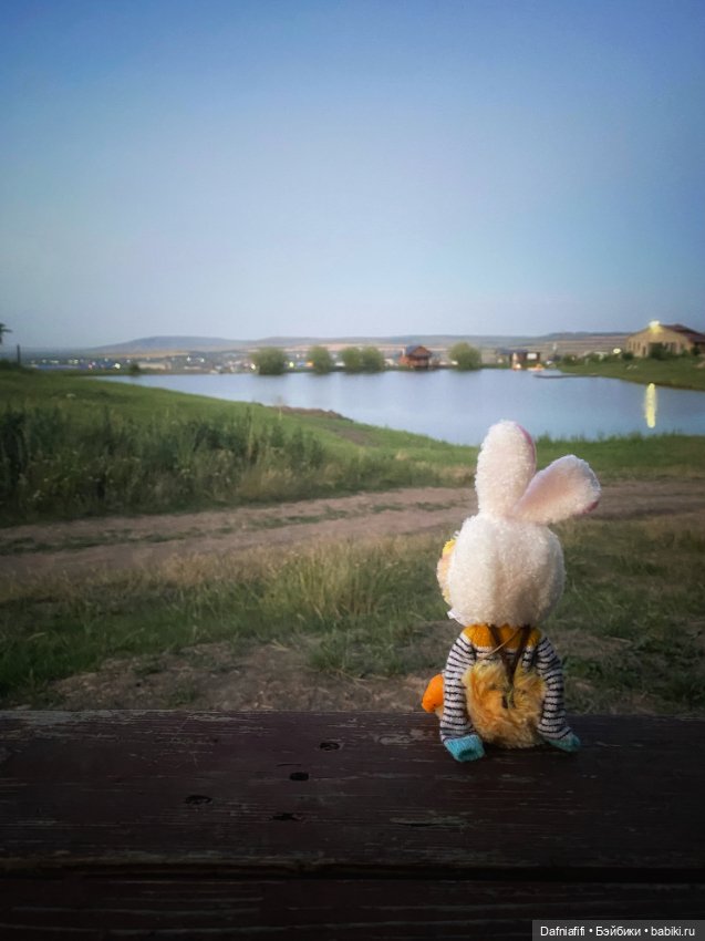 УтКака не водоплавающая — Интересные игрушки и фигурки (разное): редкие (фото 6)