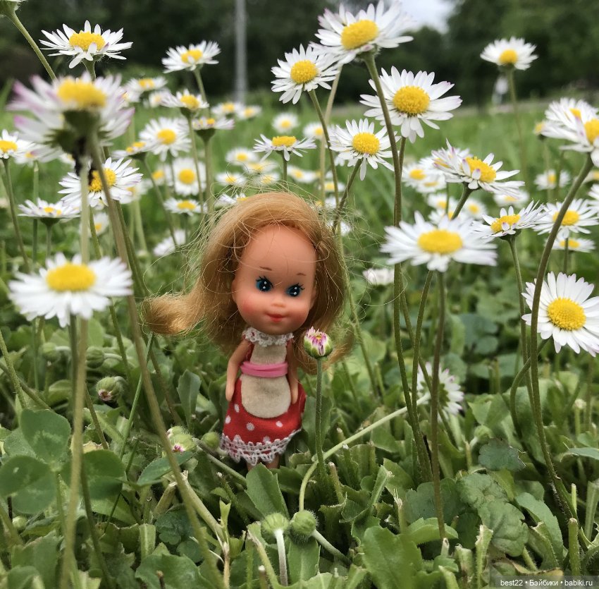 Куколка Пенни от Mattel 1980 THE LITTLES Liddle Kiddles (фото 9)