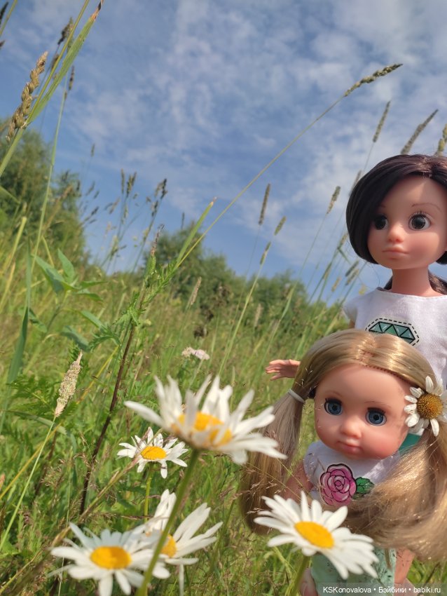 Семейно-ромашковый флэшмоб