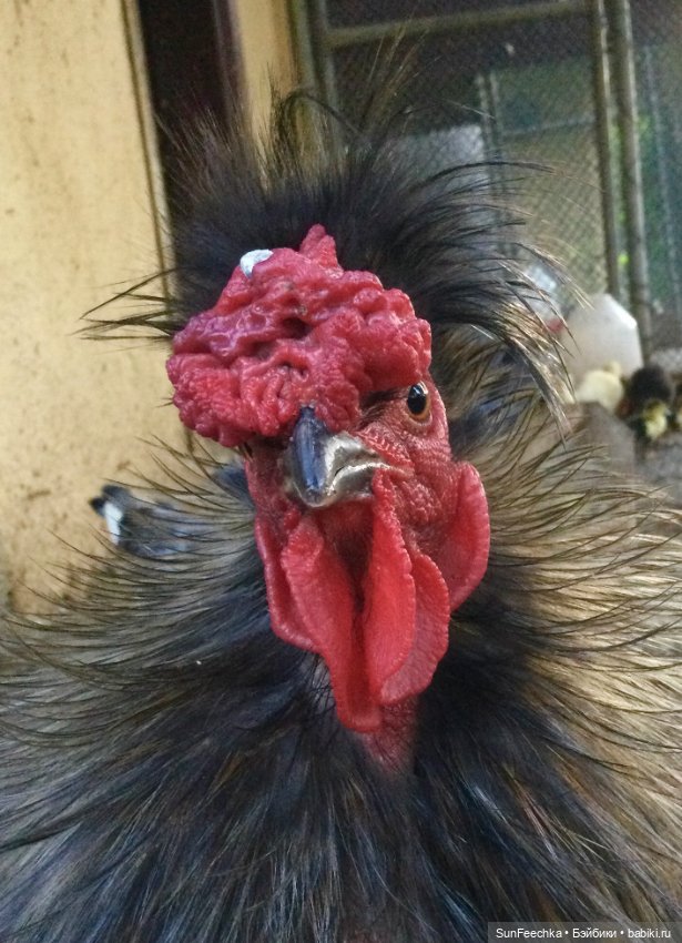 Просто фото для вдохновения