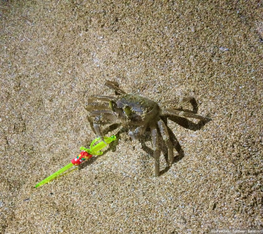 Просто фото для вдохновения