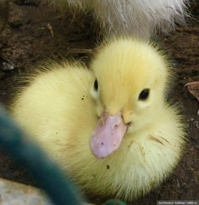 Просто фото для вдохновения