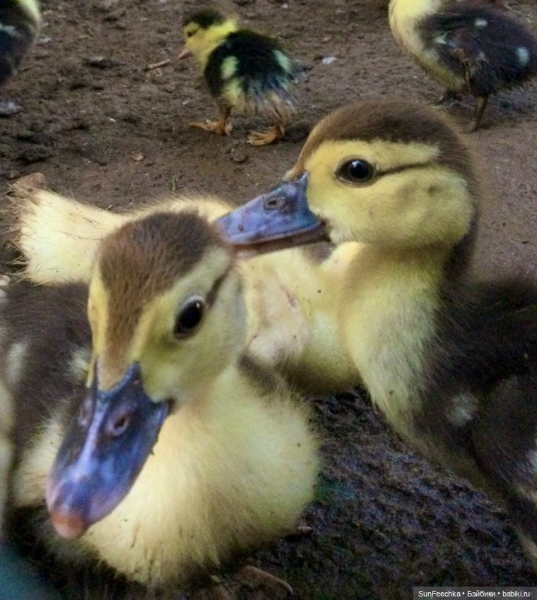 Просто фото для вдохновения