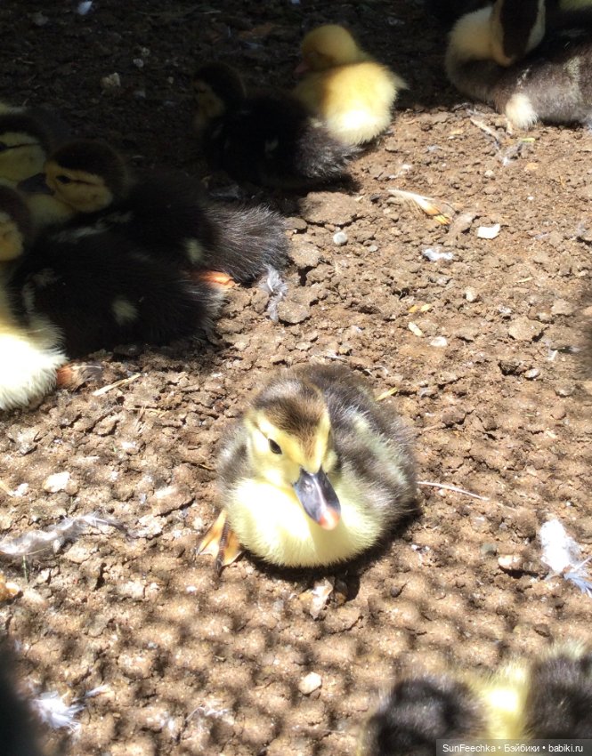 Просто фото для вдохновения (фото 3)