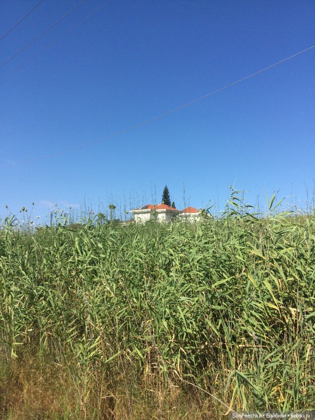 Просто фото для вдохновения