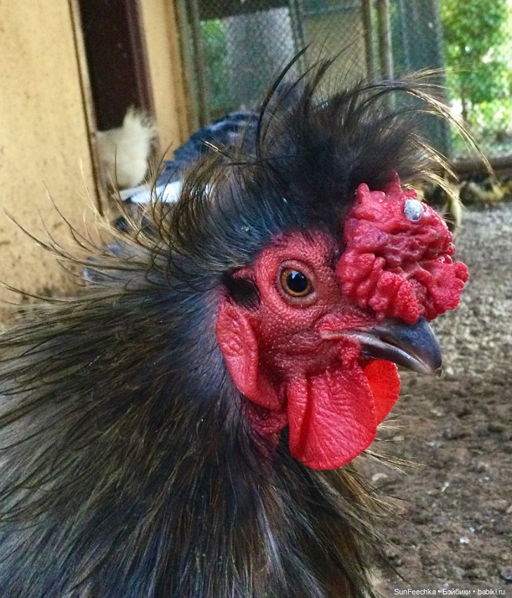 Просто фото для вдохновения