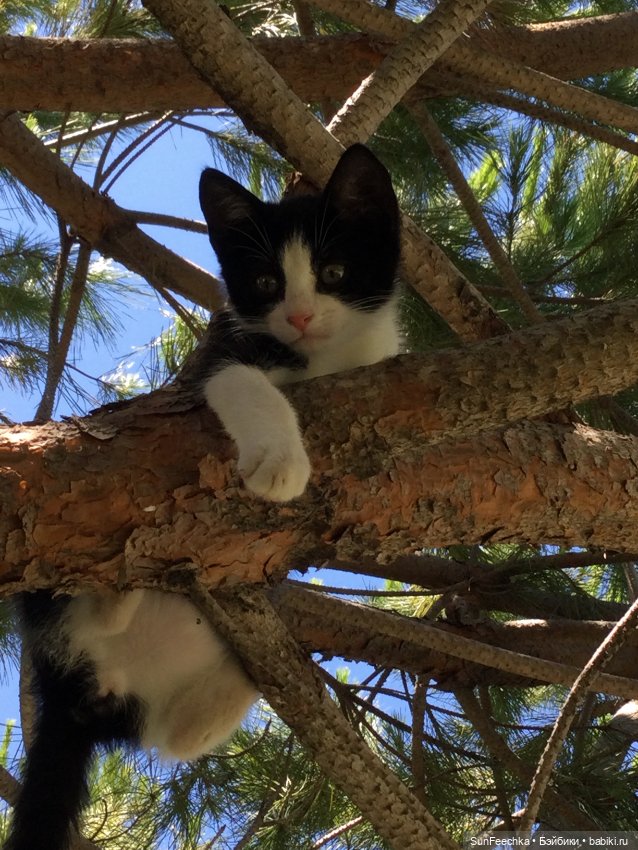 Просто фото для вдохновения (фото 8)